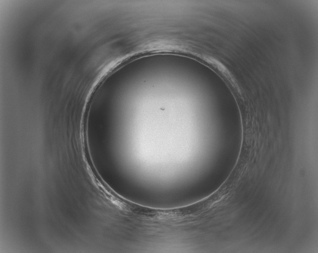 X0000058111191200509231018