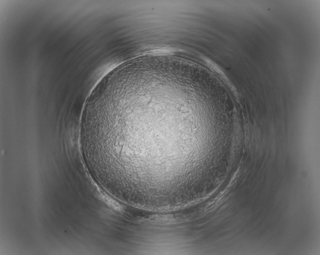 X0000058111194200509231018