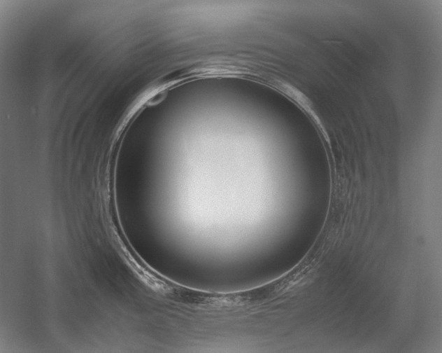 X0000058111195200509231018