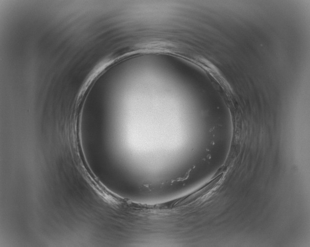 X0000058111196200509231018