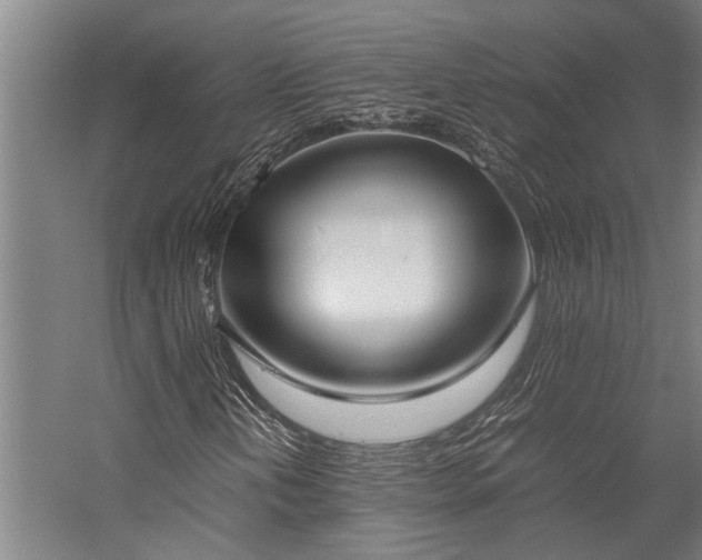 X0000058111202200509231017