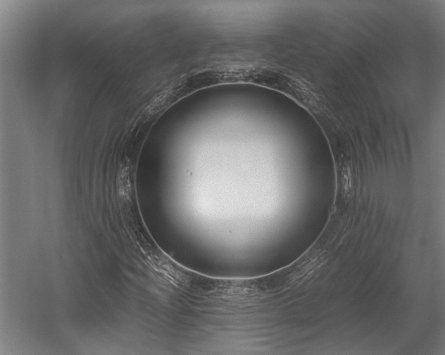 X0000058111204200509231017