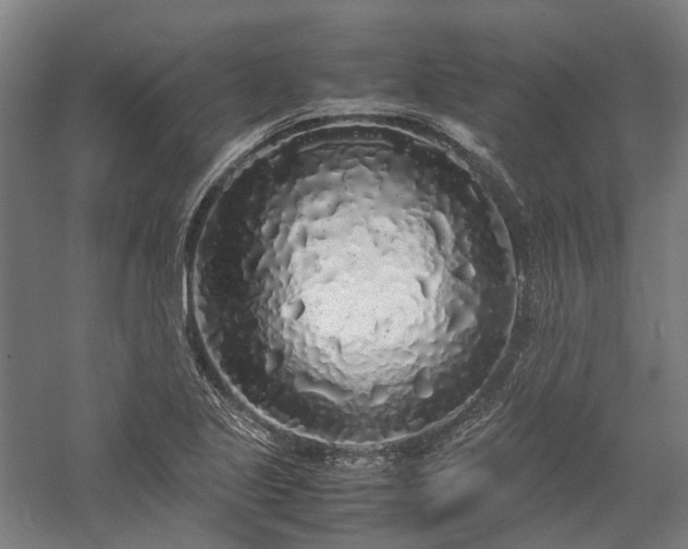 X0000058111221200509231017