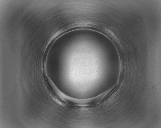 X0000058111226200509231017