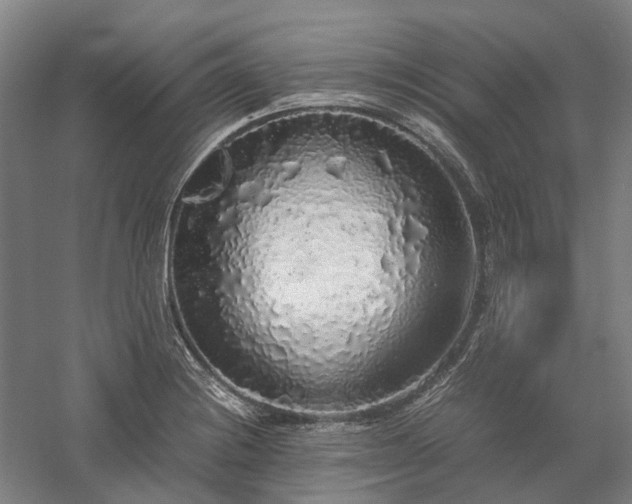 X0000058111228200509231017