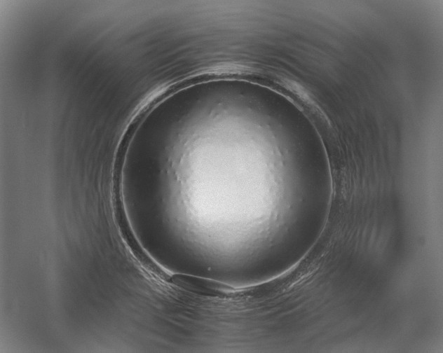 X0000058111229200509231017