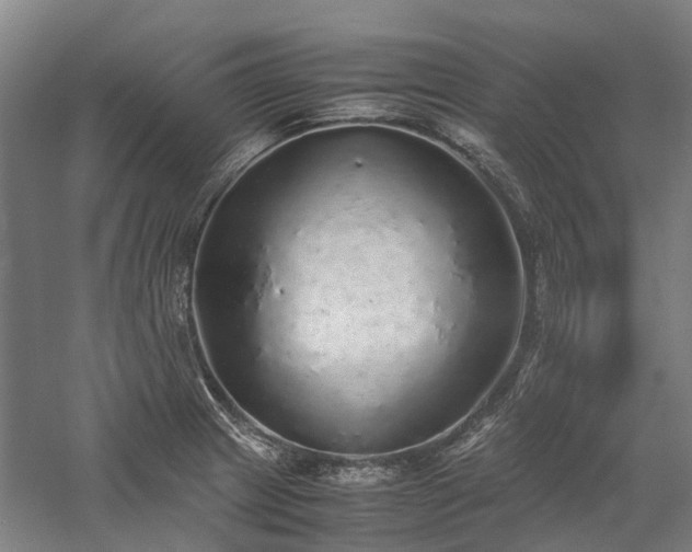 X0000058111233200509231017
