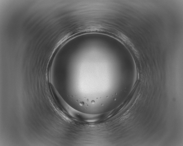 X0000058111234200509231017