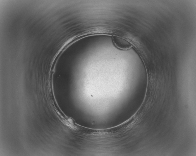 X0000058111236200509231017