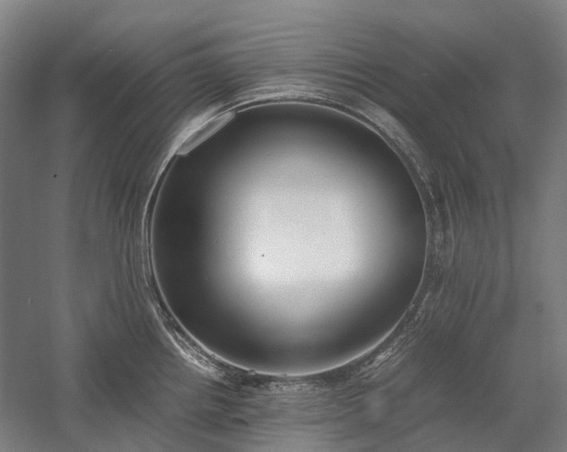 X0000058111242200509231018
