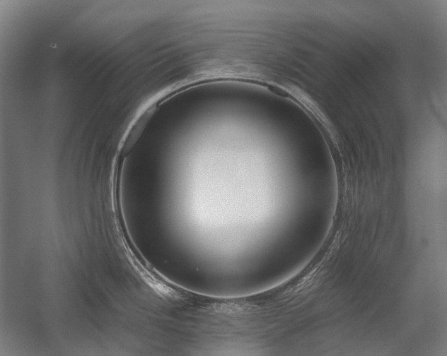 X0000058111246200509231018