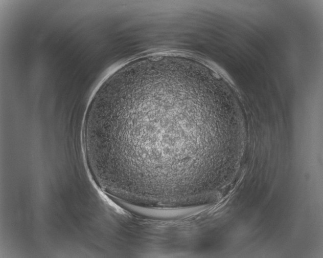 X0000058111247200509231018