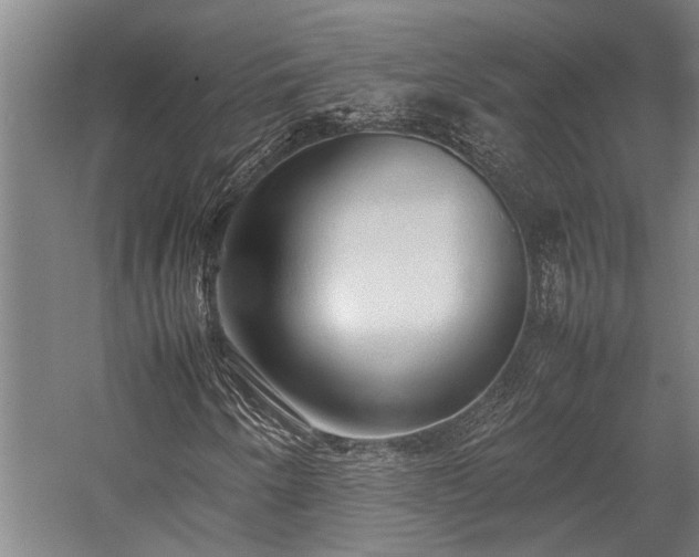 X0000058111250200509231017