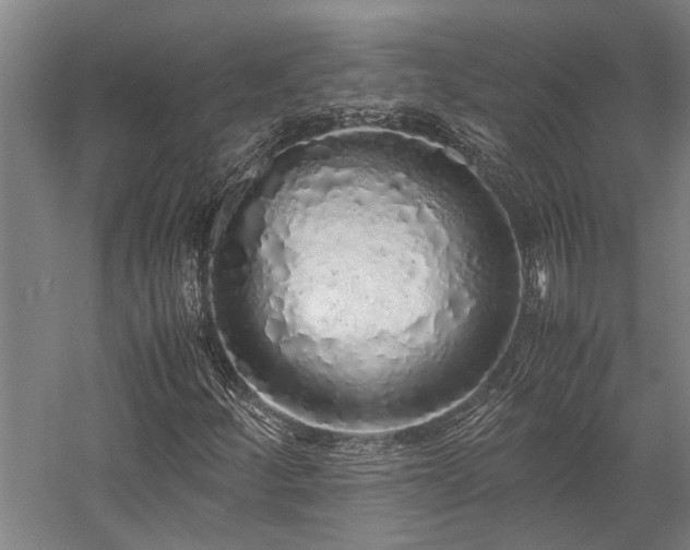 X0000058111252200509231017