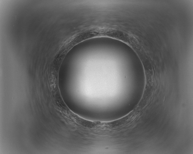 X0000058111253200509231017