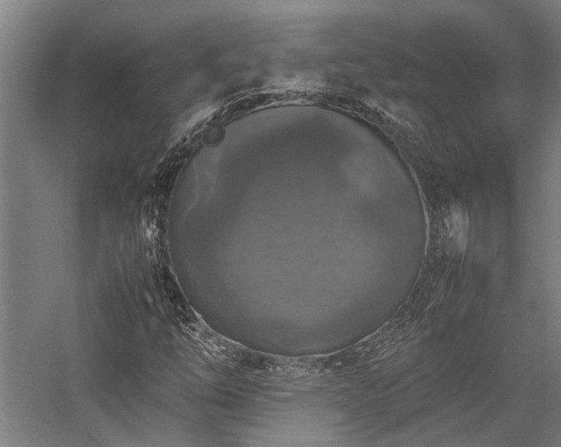 X0000058111254200509231017
