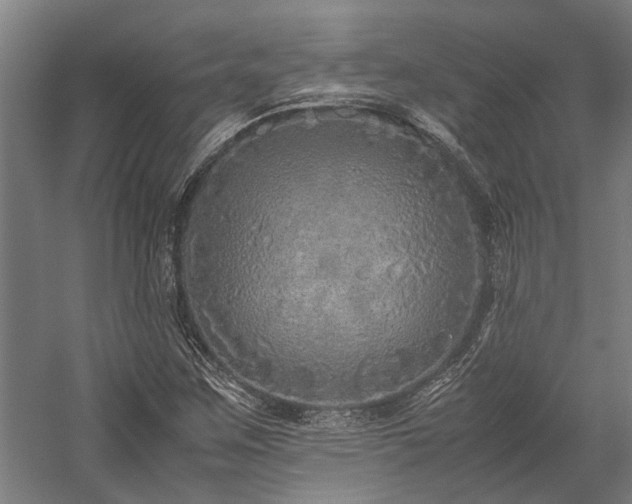 X0000058111259200509231017