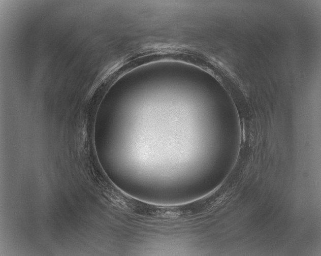 X0000058111261200509231017