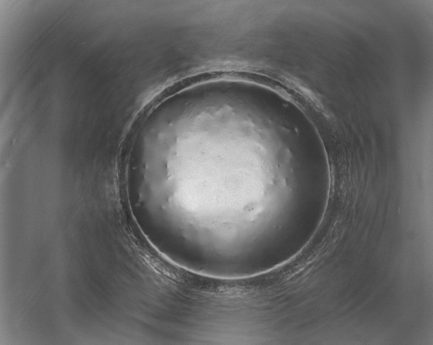 X0000058111264200509231017
