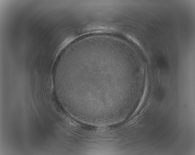 X0000058111267200509231016