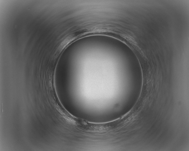 X0000058111273200509231016
