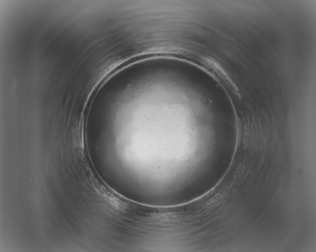 X0000058111276200509231016