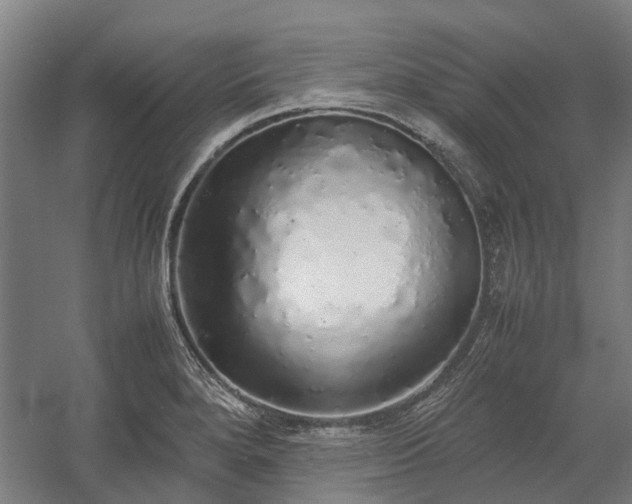 X0000058111280200509231016
