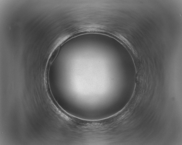 X0000058111285200509231016
