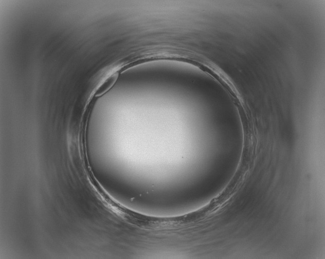 X0000058111293200509231016