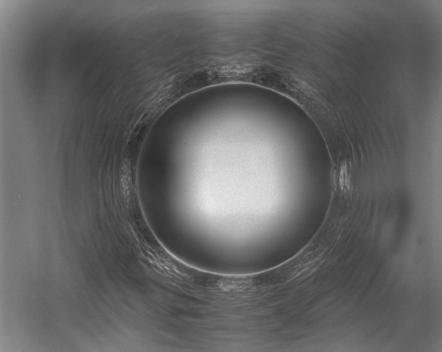 X0000058111299200509231015