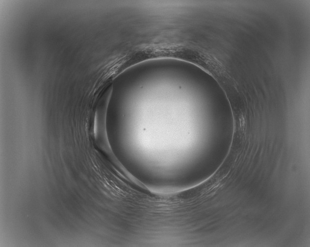 X0000058111300200509231015