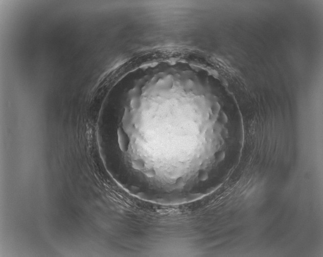 X0000058111302200509231015