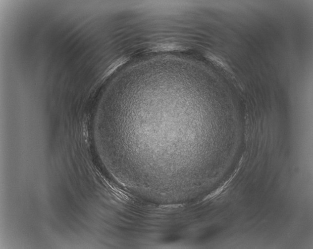 X0000058111305200509231015