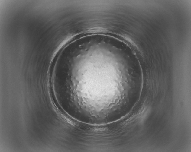 X0000058111325200509231016