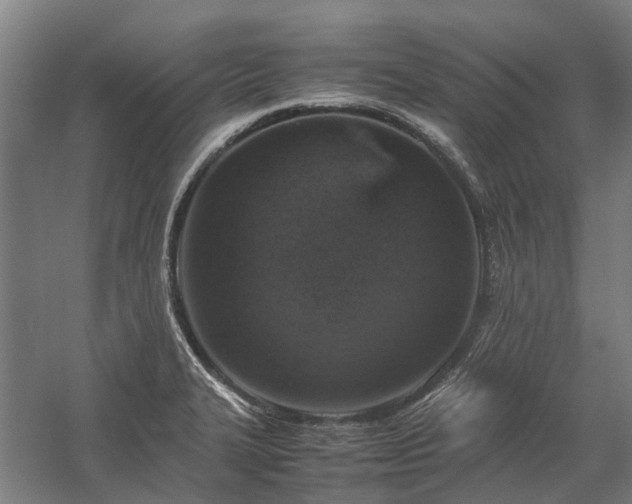 X0000058111327200509231016
