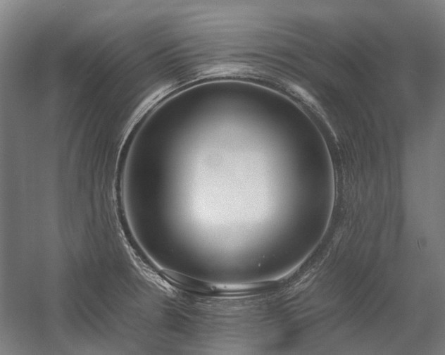 X0000058111330200509231016