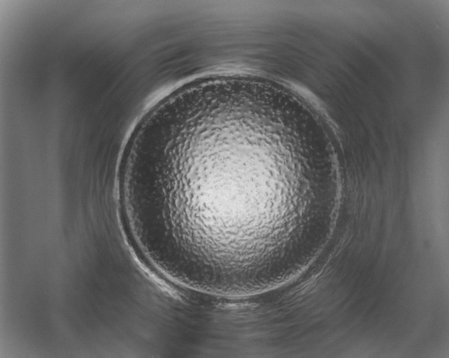 X0000058111335200509231016