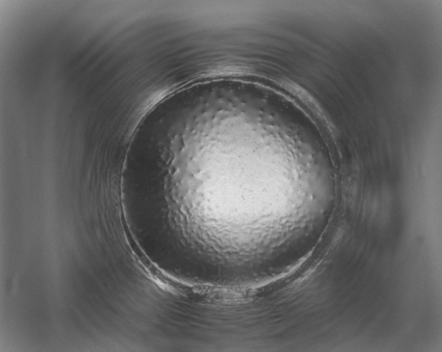 X0000058111337200509231016