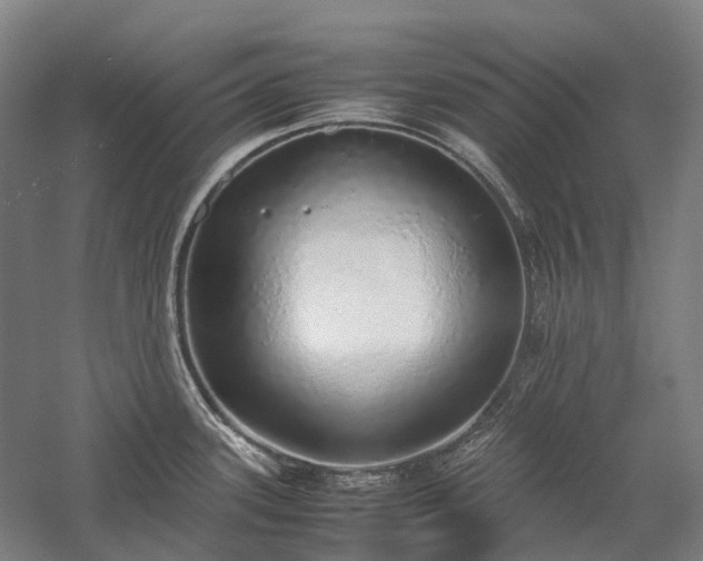 X0000058111339200509231016