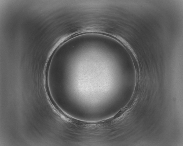 X0000058111341200509231016
