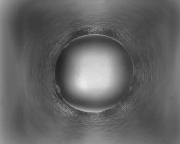 X0000058111345200509231015