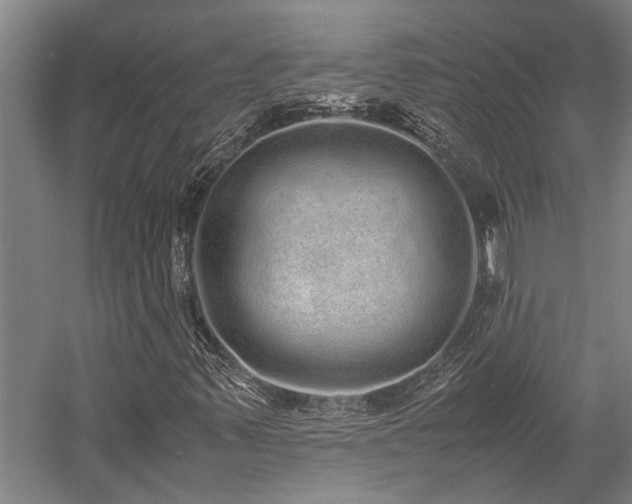 X0000058111347200509231015
