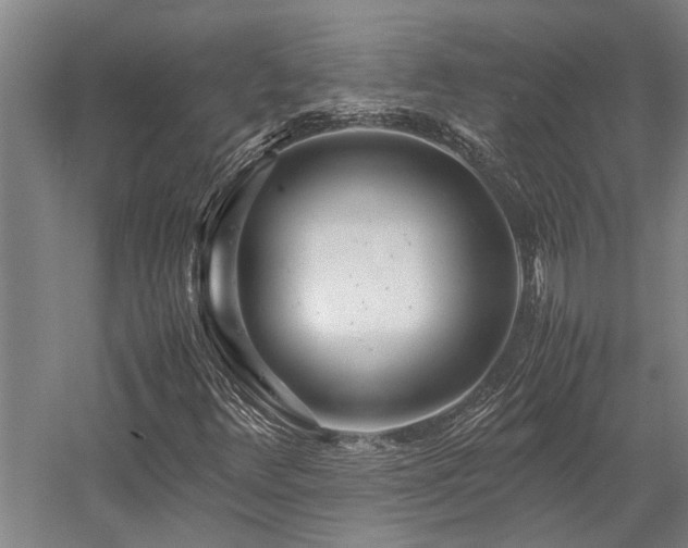 X0000058111348200509231015