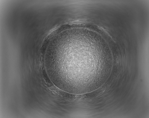 X0000058111350200509231015