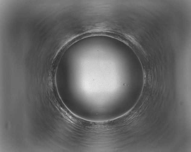 X0000058111356200509231015