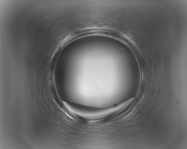 X0000058111357200509231015