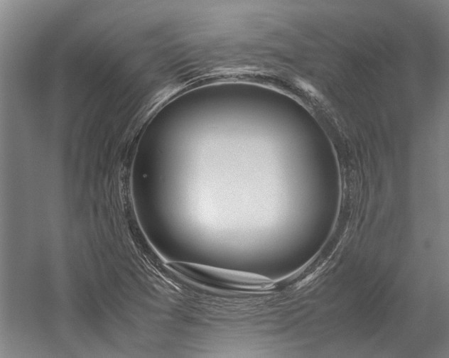 X0000058111361200509231015