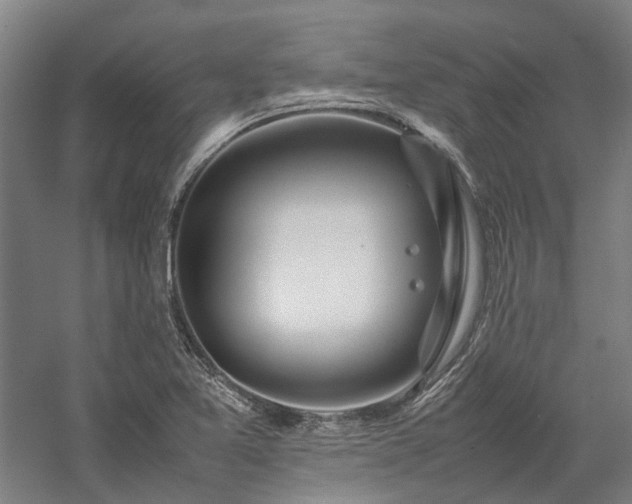 X0000058111365200509231015