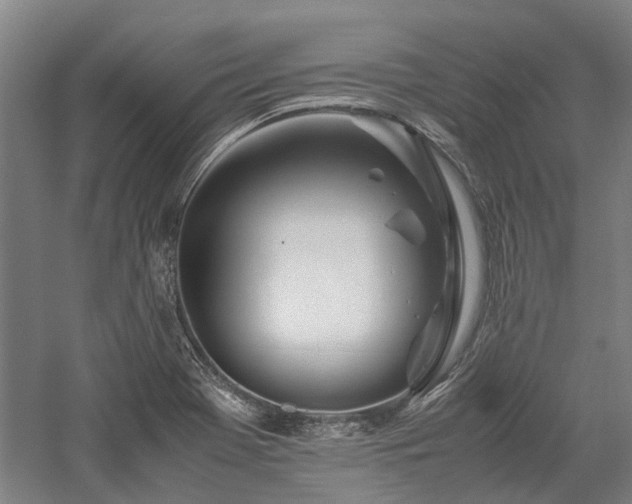 X0000058111369200509231015