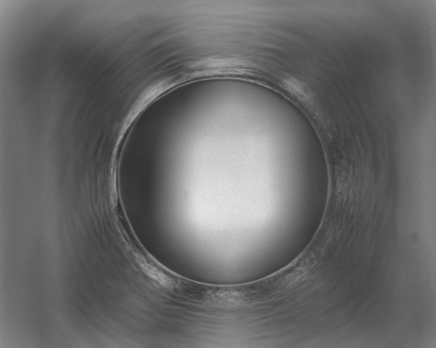 X0000058111370200509231015